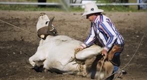 Auf Reisen zu echten Kerlen Cowboys und Surfer